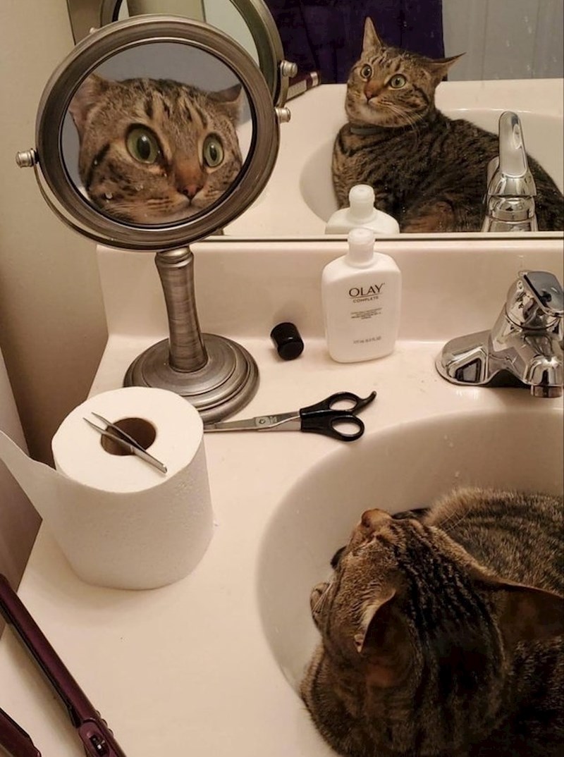 Ono kada ne očekujete da izgledate tako dobro: