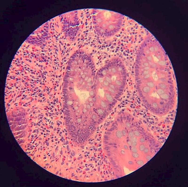 Kada volite svoj posao i posao voli vas...