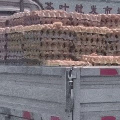 Prikolica kamionića bila je puna kartona s kokošjim jajima. Jedan vozač je snimio čudan prizor