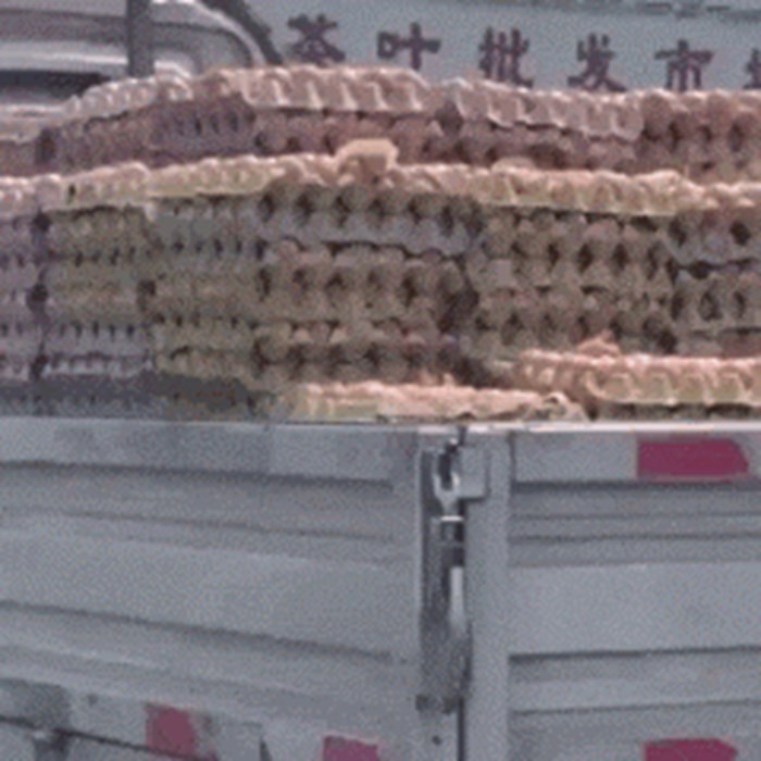 Prikolica kamionića bila je puna kartona s kokošjim jajima. Jedan vozač je snimio čudan prizor