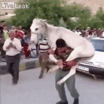 Nije mu bilo dovoljno da nosi magarca na leđima, pogledajte što je ovaj čovjek još radio