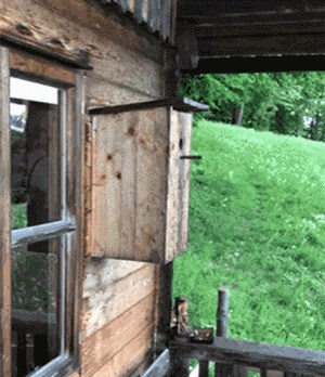 Muž je napravio drvenu kućicu za ptice, no u njoj se zapravo krila mala tajna