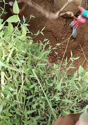 Ovakvo iskopavanje još niste vidjeli, pogledajte kako su radnici obavljali svoj posao