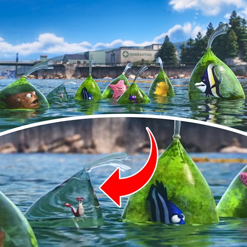 U "Potrazi za Dorom", vrećica s rakom je jedina koja je potpuno čista, jer on jede bakterije.