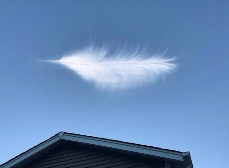 Ovaj oblak izgleda kao ogromno pero.