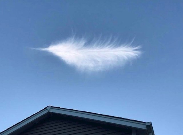 Ovaj oblak izgleda kao ogromno pero.