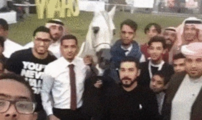Ekipa je htjela slikati selfie s konjem, ali onda su napravili grešku koja im nije trebala