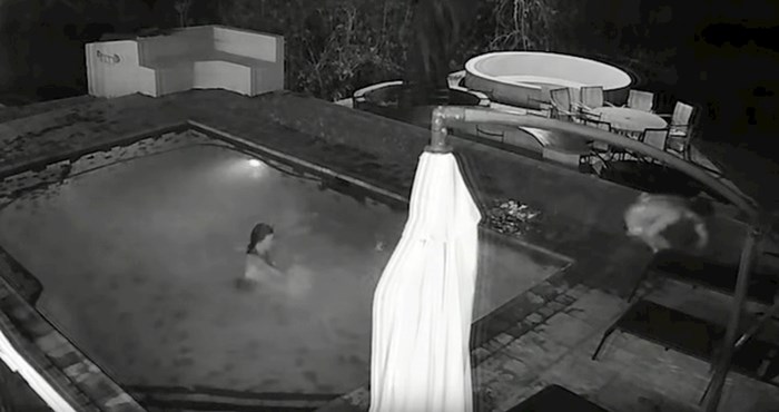 Par se u večernjim satima opuštao u bazenu, a onda im se pridružio nepozvani gost