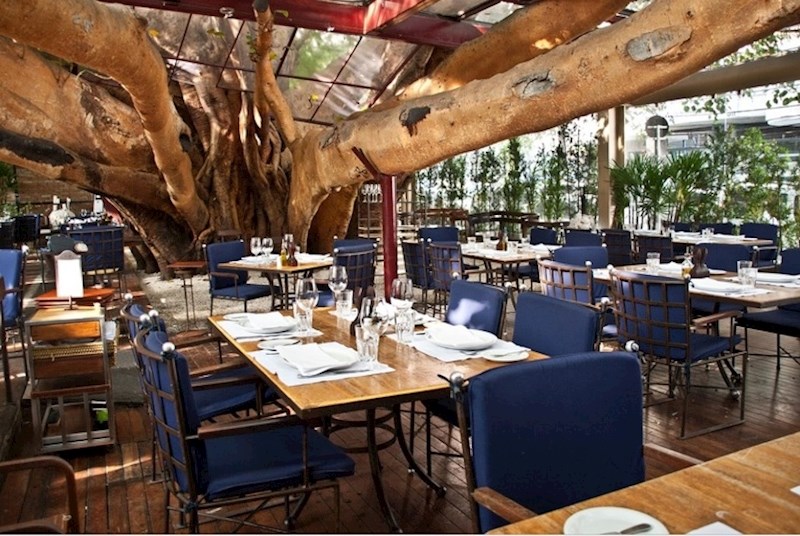 Ovaj restoran je odlučio zadržati staro stablo na mjestu gdje je nova terasa.