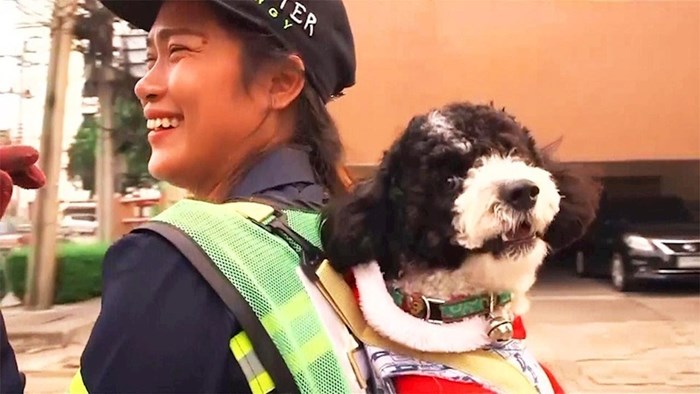 Čistačica ulica ima naobičan dodatak uniformi: Dok radi, na leđima nosi psa!