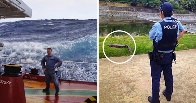 Ljudi različitih profesija su pomoću zanimljivih slika pokazali koliko njihov radni dan može biti poseban