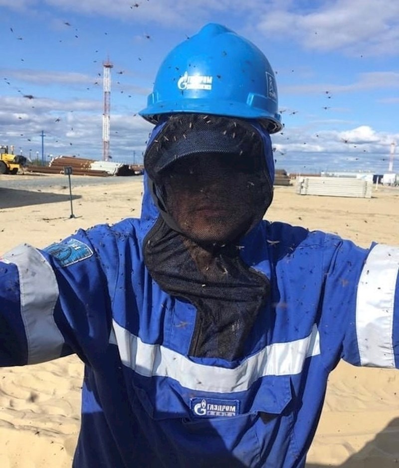 Ljeto u Sibiru: Radnik nosi posebno odijelo za zaštitu od komaraca.