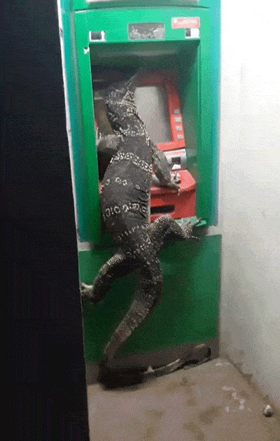 Čovjek je trebao podići novac s bankomata, no nije se usudio kad je ugledao ovo