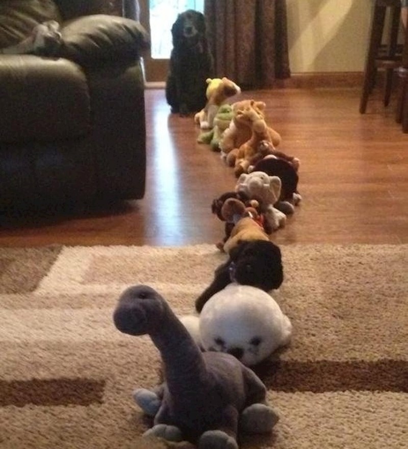 "Već satima čeka u redu."