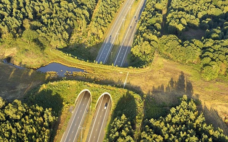 Još jedan prirodni most - ovaj je u Nizozemskoj.