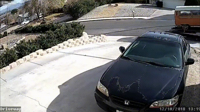 Kamera vlasnika ove kuće trebala je snimati njegov auto, no sasvim slučajno je snimila i nešto neočekivano