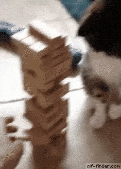 Dok su igrali popularnu društvenu igru, ova je osoba shvatila da njihova mačka ima poseban talent