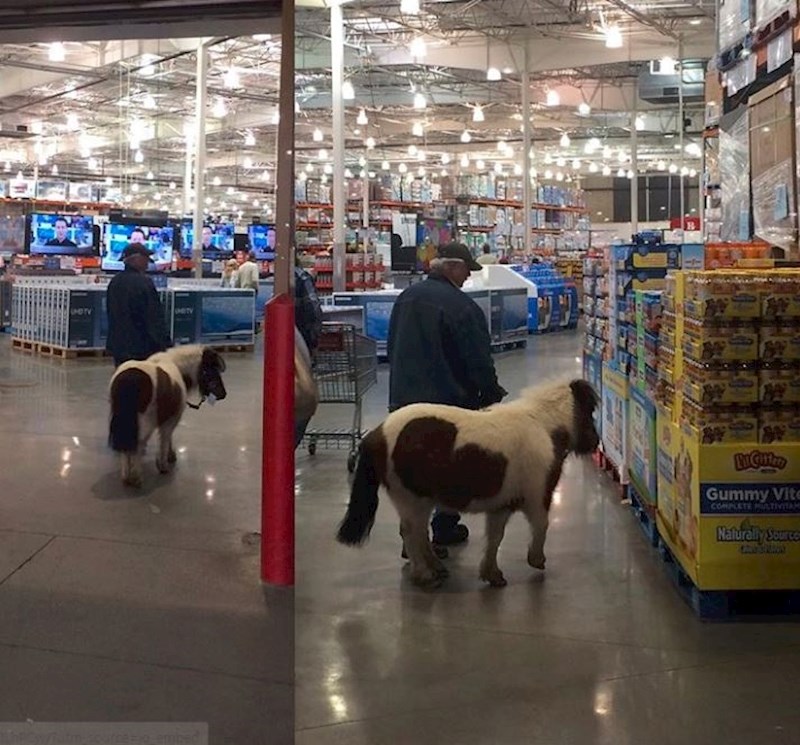 Do trgovine možete doći autom, busom, pješice ili ponijem.