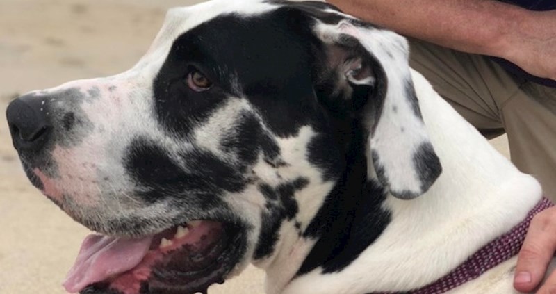 20 hipnotizirajućih fotografija koje će se poigrati s vašim umom