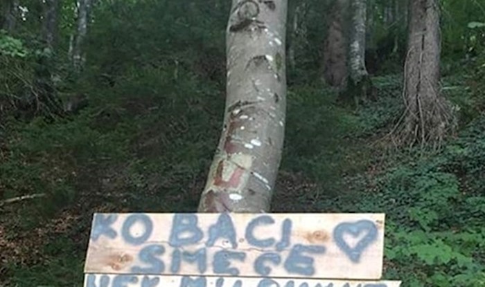 U ovoj šumi nema bacanja smeća, netko je napisao kletvu koja služi kao dovoljno upozorenje