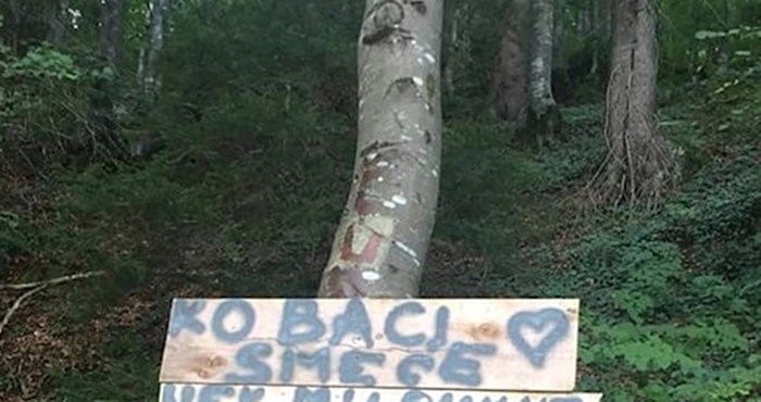 U ovoj šumi nema bacanja smeća, netko je napisao kletvu koja služi kao dovoljno upozorenje