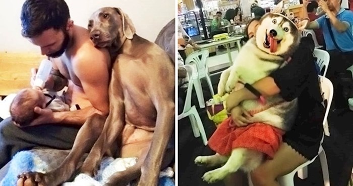 18 simpatičnih slika koje pokazuju zbog čega su psi čovjekov najbolji prijatelj