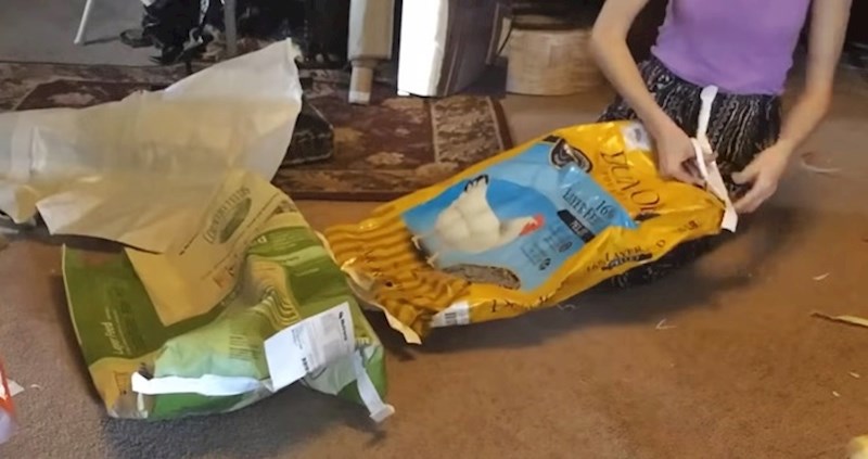 Pogledajte što je ova djevojka napravila od materijala koji bi inače završili u smeću