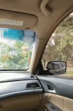 Osoba je pokazala kako najlakše ukrasti tuđe voće i glumiti kao da se ništa nije dogodilo