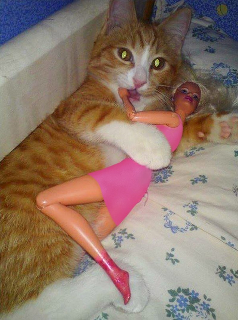 "Nije oni što misliš!"