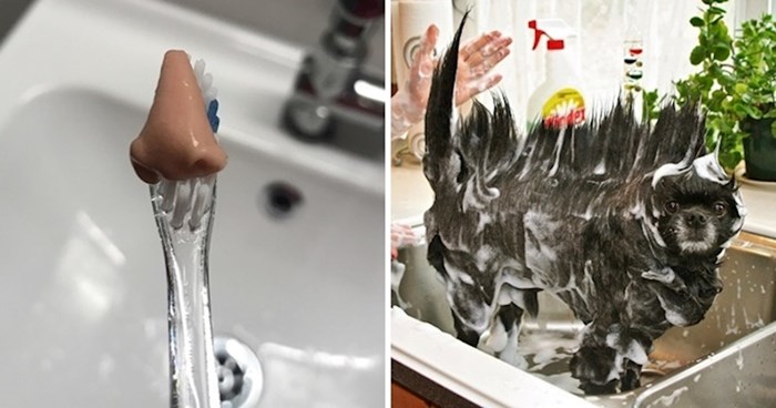 22 fotografije kojima ćete vidjeti vrlo zanimljive prizore iz svakodnevice