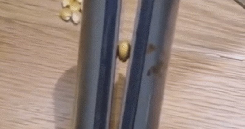 Djevojka je primijetila da se kokice mogu praviti i bez ikakvih štednjaka, pogledajte kako