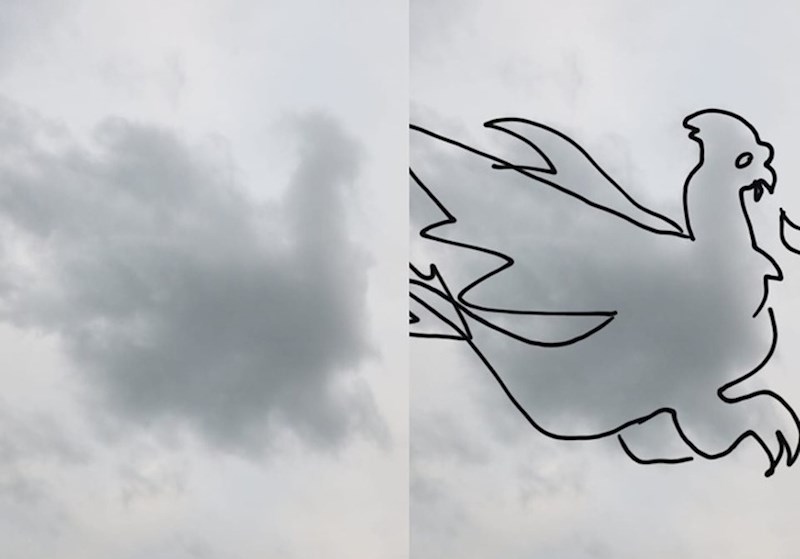 Mitološko stvorenje?