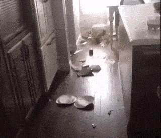 U kući ih je dočekala katastrofa, kad su pogledali u kut sobe, sve im je bilo jasno