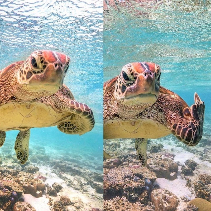 "Vraćaj se na kopno, čovječe!"