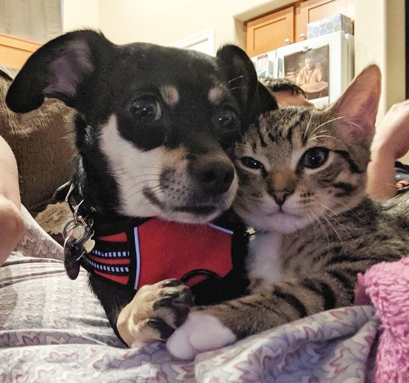 "Ovo izgleda kao njihova zaručnička fotografija."