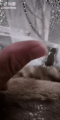 Kakvo mučenje: Komarac ga je svom snagom pokušavao ugristi, ali...