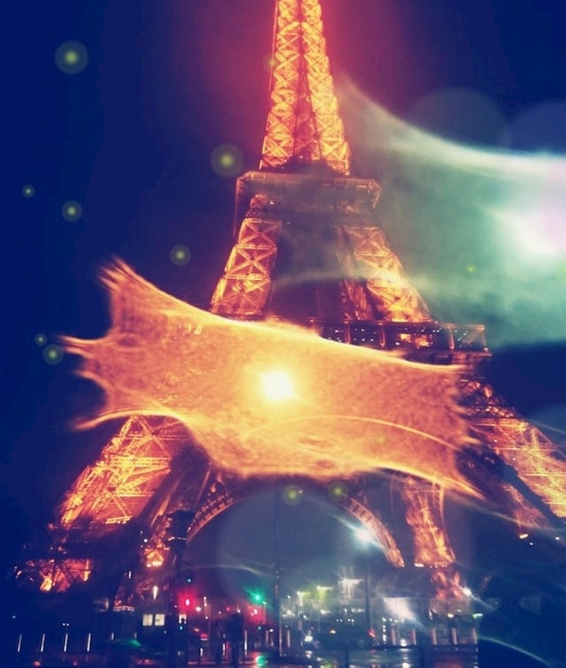 Kap kiše je pala na kameru u trenutku slikanja.