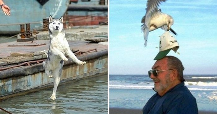 Fotografije su tisuću puta zanimljivije kad se slikaju u najboljem mogućem trenutku