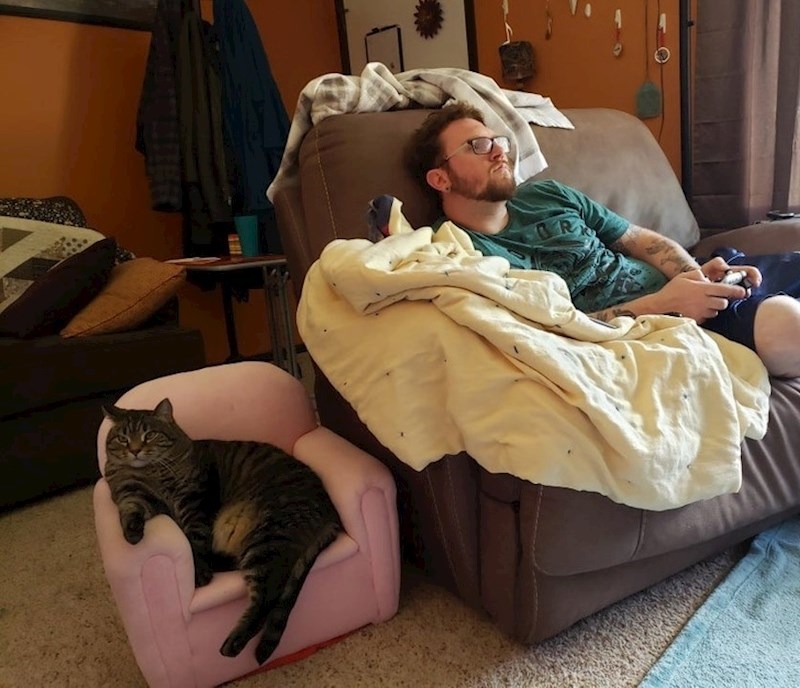 "Ovo je moja mačka kada glumi čovjeka."