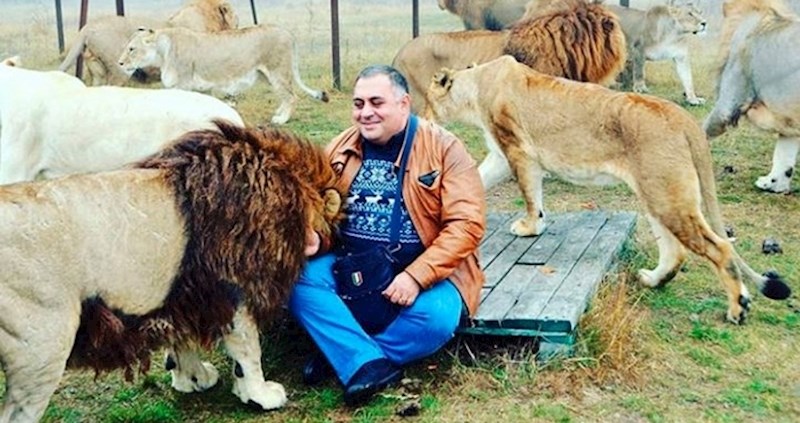 Veterinar kojemu se svijet divi: Spasio je bolesnog tigra, družio se s lavovima...