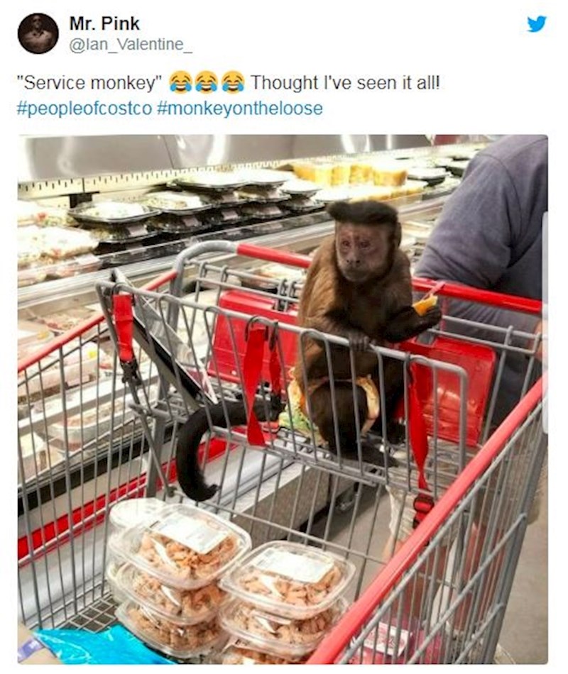 Tko bi ikad pomislio da će ovako nešto vidjeti tijekom kupovine?