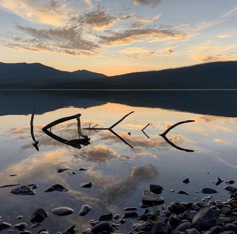 Ove grane i njihov odraz u vodi izgledaju kao kostur ribe.