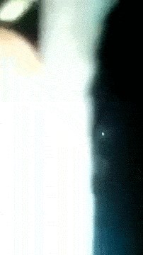 Upalila je svjetlo, ušla u kuhinju restorana pa ostala šokirana kad je shvatila da imaju neočekivane goste