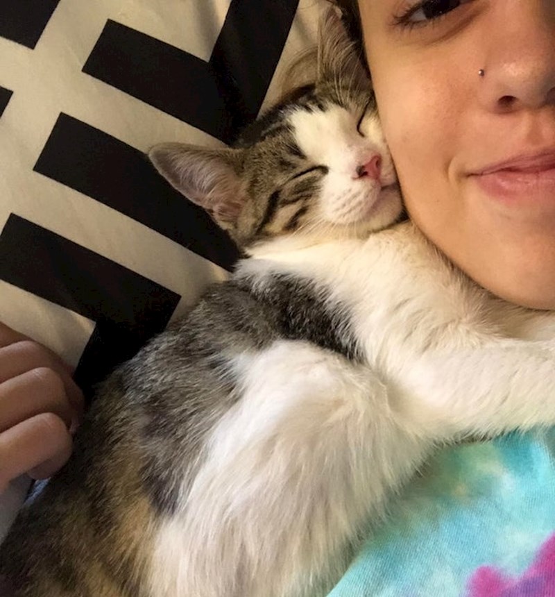 "Danas sam ovu djevojčicu dovela iz azila za mačke i od tada se ne odvaja od mene."