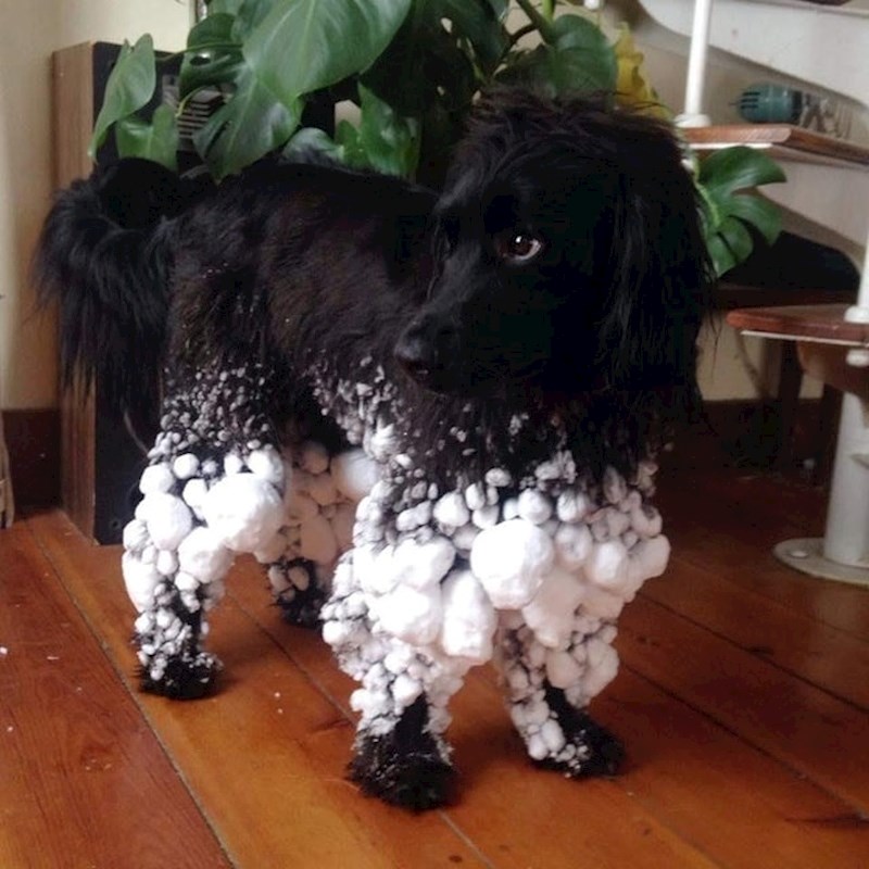 Nakon šetnje po snijegu spreman je za Pariški tjedan mode.