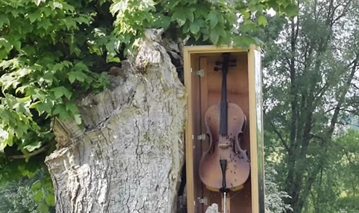 U prirodi su postavili drveni sanduk s glazbenim instrumentom, a onda se dogodilo nešto zanimljivo