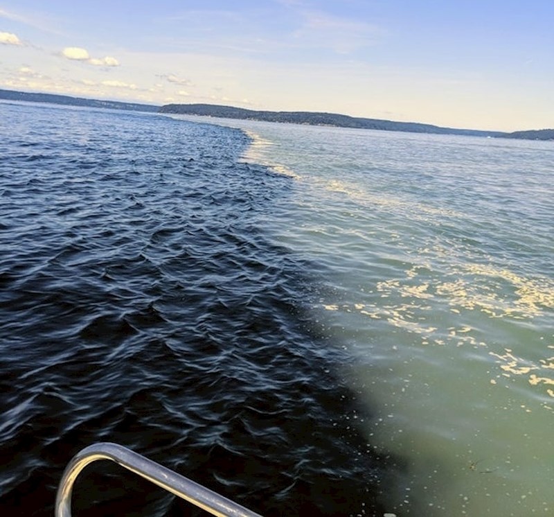 Estuarij - mjesto gdje se rijeka spaja s morem ili oceanom.