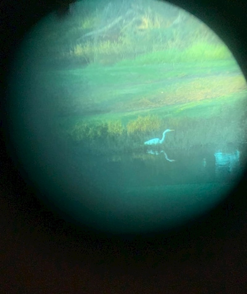 Slikao sam pticu kroz dvogled i fotografija izgleda kao planet.