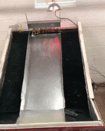 Pačićima su napravili savršeno mjesto za uživanje, mališani se nisu mogli prestati igrati