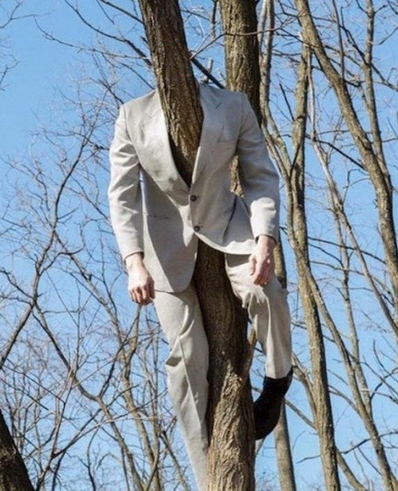 Tijekom šetnje je naišao na prizor koji ga je na prvi pogled malo uznemirio...